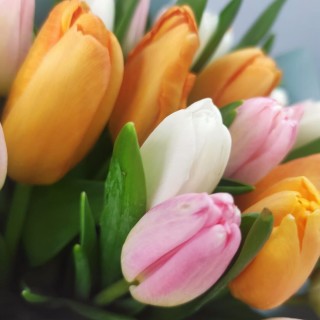 Какие цветы подарить в мае девушке или женщине?