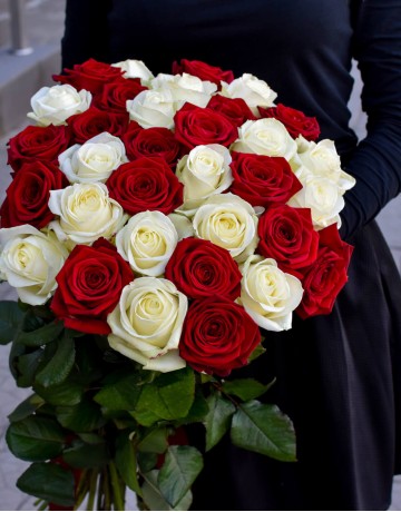 33 красно-белых розы