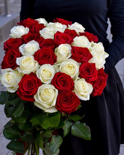 33 красно-белых роза купить с доставкой в Санкт-Петербурге