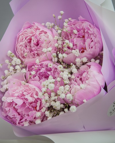 Букет из 5 розовых пионов с гипсофилой купить с доставкой в Санкт-Петербурге