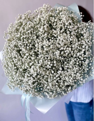 Букет цветов из 51 белой гипсофилы
