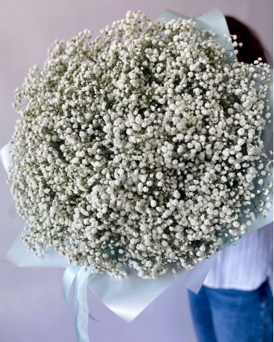 Букет цветов из 51 белой гипсофилы купить с доставкой в Санкт-Петербурге