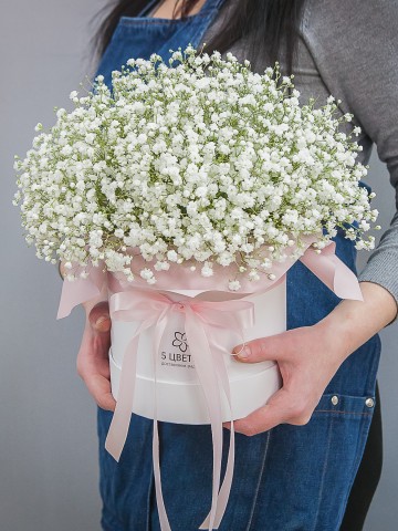 Букет цветов из 9 белых гипсофил в шляпной коробке