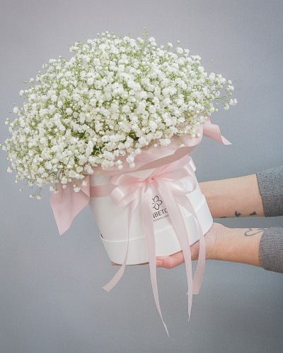Букет цветов из 9 белых гипсофил в шляпной коробке купить с доставкой в Санкт-Петербурге