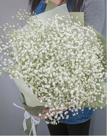 Букет цветов из 11 белых гипсофил