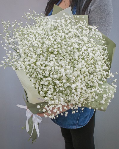 Букет цветов из 11 белых гипсофил купить с доставкой в Санкт-Петербурге