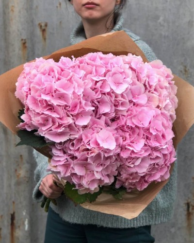 Букет из 5 розовых гортензий купить с доставкой в Санкт-Петербурге