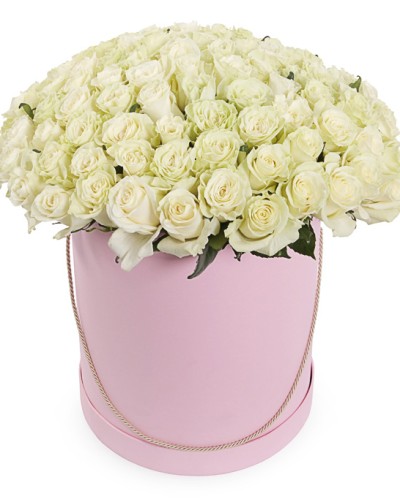 Букет 101 белая роза в шляпной коробке купить с доставкой в Санкт-Петербурге