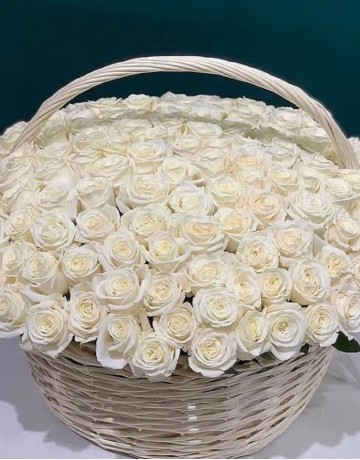 Букет 501 белая роза в корзине