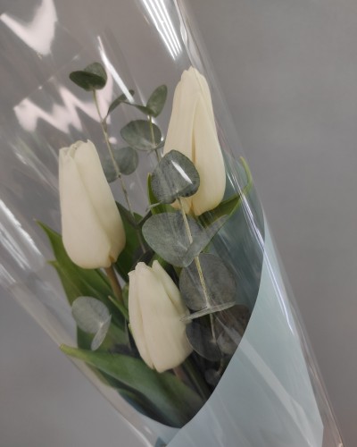 Букет 3 белых тюльпана с эвкалиптом - Корпоративный купить с доставкой в Санкт-Петербурге