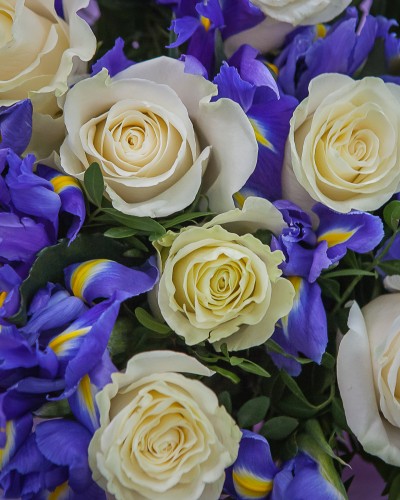Букет 9 белых роз и 17 ирисов купить с доставкой в Санкт-Петербурге