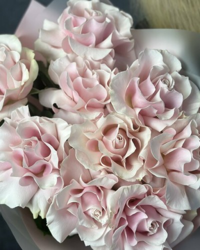 Букет из 9 розовых Французских роз купить с доставкой в Санкт-Петербурге