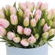 Букет 51 розовых тюльпанов в шляпной коробке купить с доставкой в Санкт-Петербурге