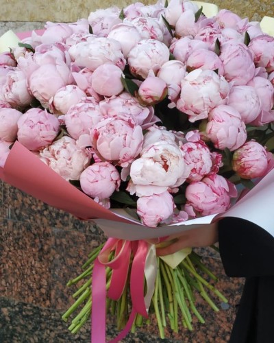 Букет из 101 розового пиона купить с доставкой в Санкт-Петербурге