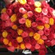 Букет 51 роза микс 60см купить с доставкой в Санкт-Петербурге