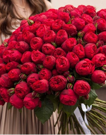 Букет 101 красная пионовидная роза 50 см