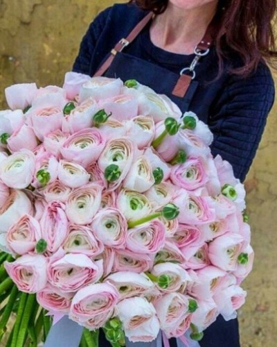 Букет из ранункулюсов 101 шт. нежно-розовых ПРЕМИУМ купить с доставкой в Санкт-Петербурге