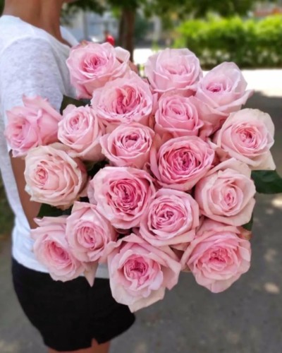 Букет  из 15  пионовидных роз Pink O'Hara купить с доставкой в Санкт-Петербурге