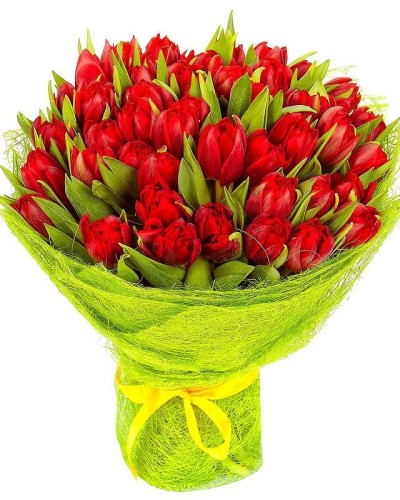 Букет 51 красный тюльпан купить с доставкой в Санкт-Петербурге