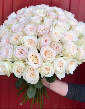 Букет из 51 пионовидной роза White O'Hara