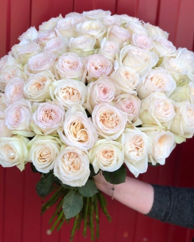 Букет из 51 пионовидной роза White O'Hara купить с доставкой в Санкт-Петербурге