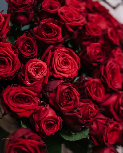 Букет 51 красная роза 60см купить с доставкой в Санкт-Петербурге