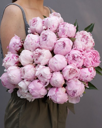 Букет из 25 розовых пионов купить с доставкой в Санкт-Петербурге