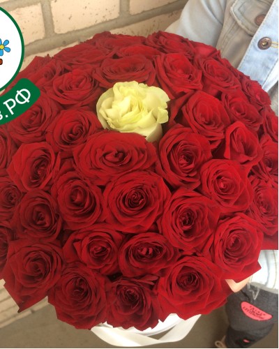 Букет 50 красных и 1 белая роза в коробке купить с доставкой в Санкт-Петербурге