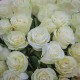 Букет 51 белая роза
