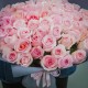 Букет 51 розовая роза купить с доставкой в Санкт-Петербурге