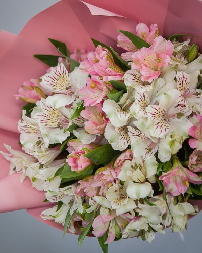 Букет из 15 розовых и белых альстромерий купить с доставкой в Санкт-Петербурге