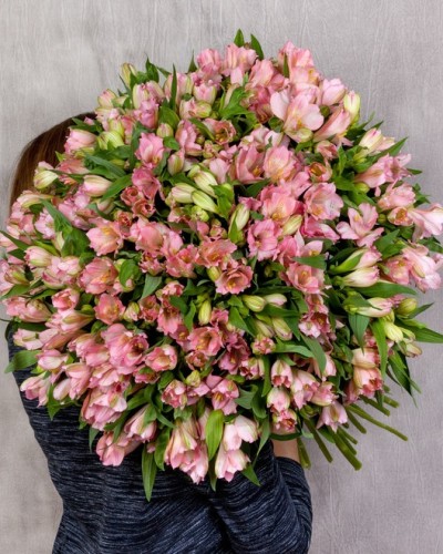Букет из 51 розовой альстромерии купить с доставкой в Санкт-Петербурге
