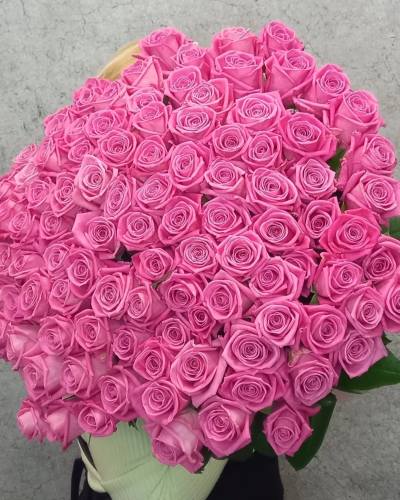 Букет 75 розовых роз купить с доставкой в Санкт-Петербурге